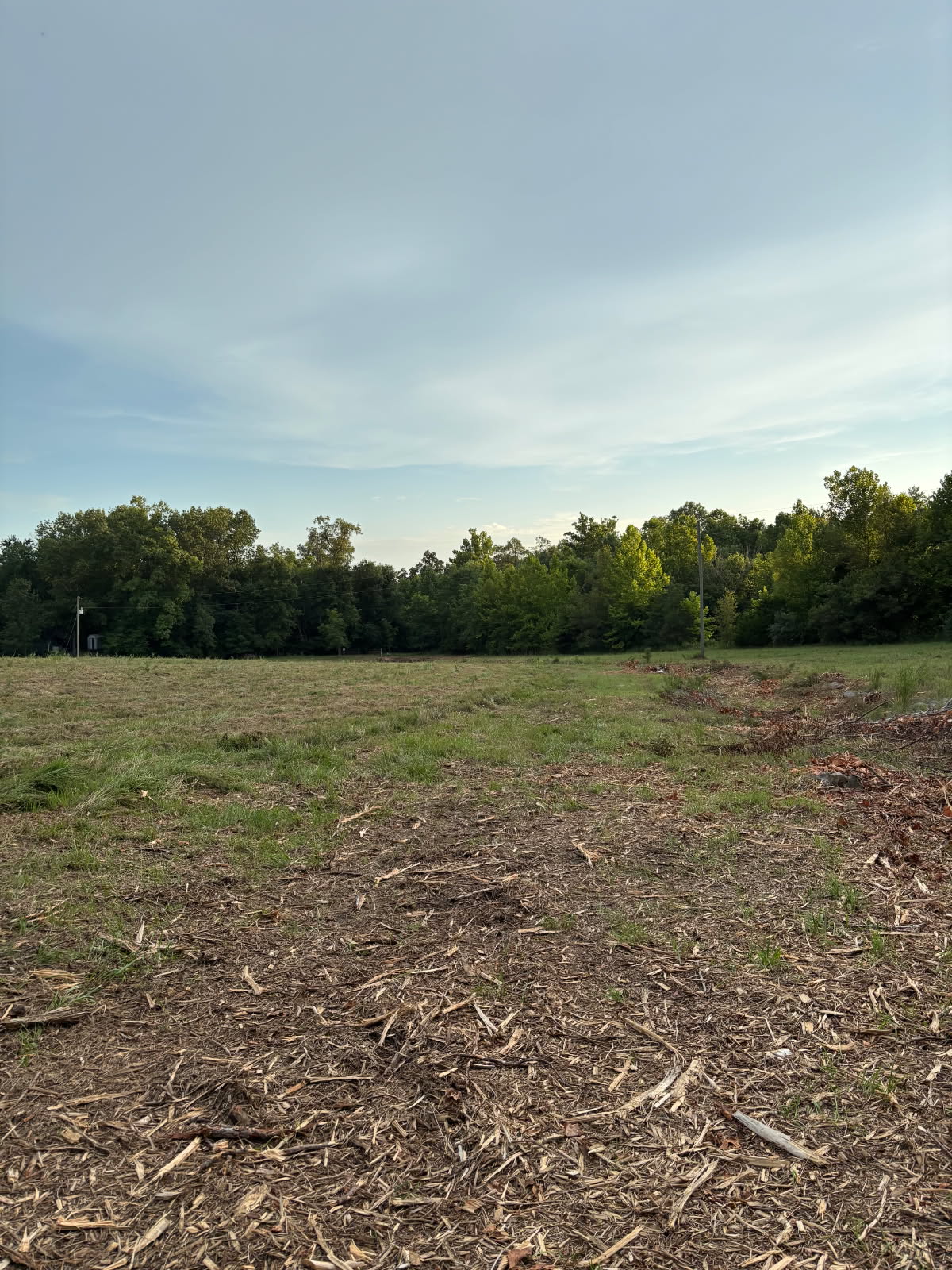 After forestry mulching — the pasture edge mulched down to a clean wood-chip bed